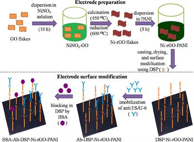 Development of ESAT-6 Based Immunosensor for the Detection of Mycobacterium tuberculosis